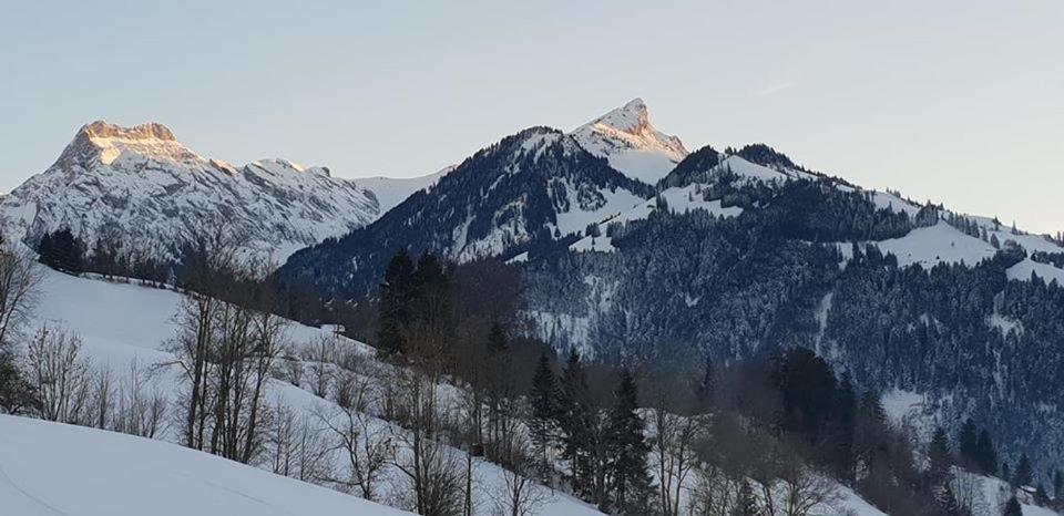 Gasthof Engelberg Scharnachtal Luaran gambar